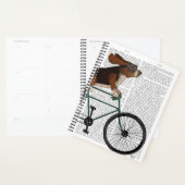 Basset Hound on Bicycle Planer (Anzeige)