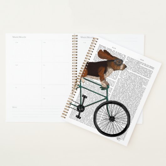 Basset Hound on Bicycle Planer (Anzeige)