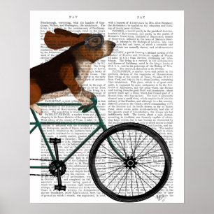 Basset Hound on Bicycle Poster