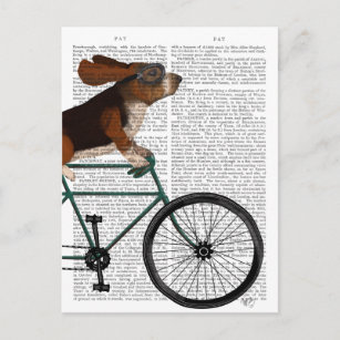 Basset Hound on Bicycle Postkarte
