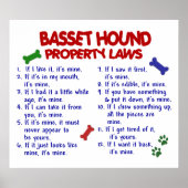 BASSET HOUND PL2 POSTER (Vorne)