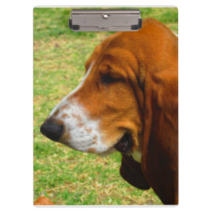 basset-hound.png klemmbrett