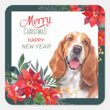 Basset Hound Poinsettia - Weihnachten