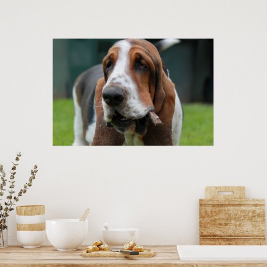 Basset Hound Poster (Küche)