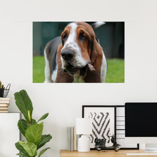 Basset Hound Poster (Heimbüro)