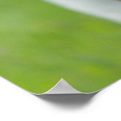 Basset Hound Poster (Ecke)