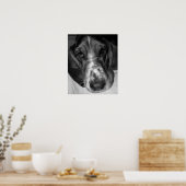 Basset Hound Poster (Küche)