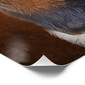 Basset Hound Poster (Ecke)