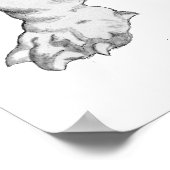 Basset Hound Poster (Ecke)