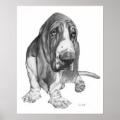 Basset Hound Poster (Vorne)