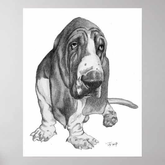 Basset Hound Poster (Vorne)