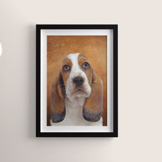 Basset Hound Poster