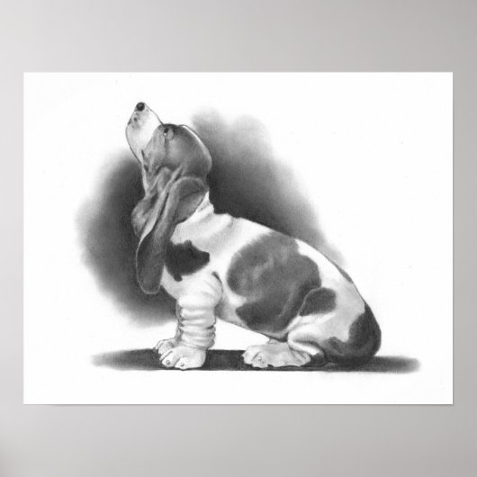 BASSET HOUND POSTER: PENCIL REALISM ART POSTER (Vorne)