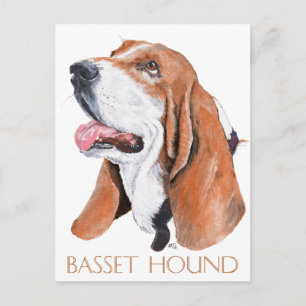 Basset Hound Postkarte