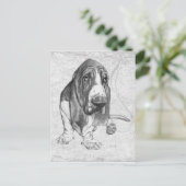 Basset Hound Postkarte (Stehend Vorderseite)