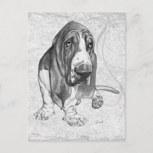 Basset Hound Postkarte (Vorderseite)