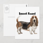 Basset Hound Postkarte (Vorne/Hinten)