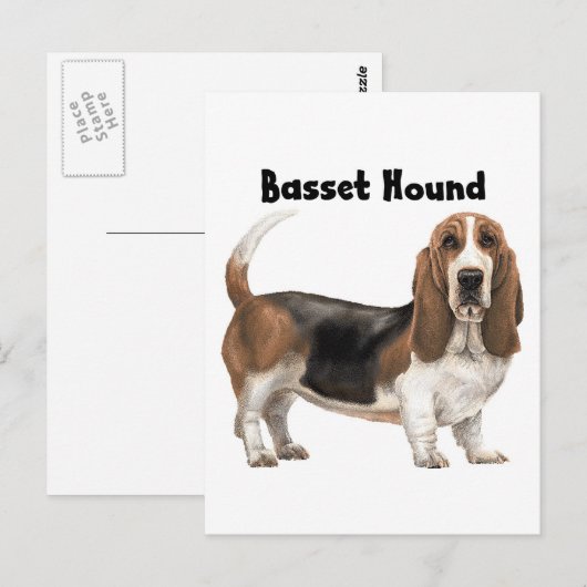 Basset Hound Postkarte (Vorne/Hinten)