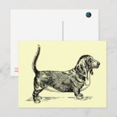 Basset_Hound Postkarte (Vorne/Hinten)
