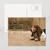 Basset Hound Postkarte (Vorne/Hinten)