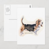 Basset Hound Postkarte (Vorne/Hinten)