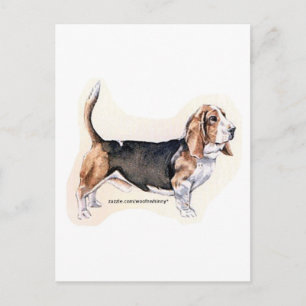 Basset Hound Postkarte