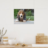 Basset Hound Puppy Poster (Küche)