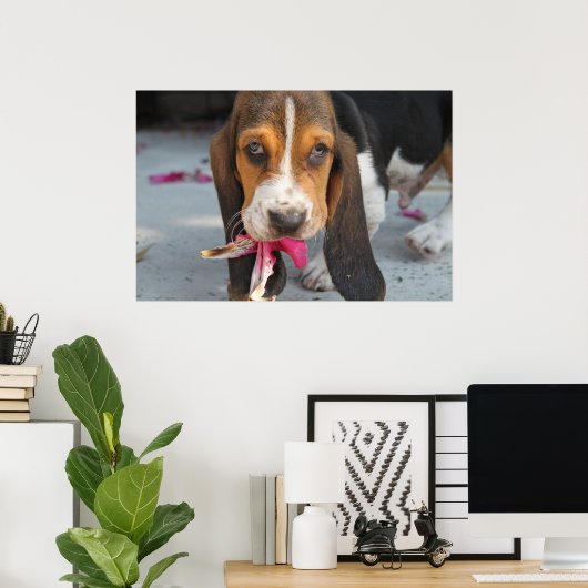 Basset Hound Puppy Poster (Heimbüro)