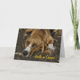 Basset Hound-Rettungs-HundMable Entschuldigung Karte