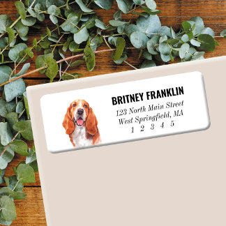 Basset Hound-Rücksendeadressen-Aufkleber