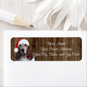 Basset Hound Santa (Insitu)