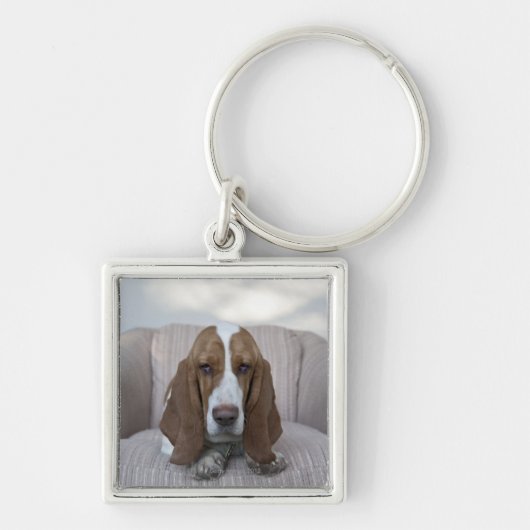 Basset Hound Schlüsselanhänger (Vorne)