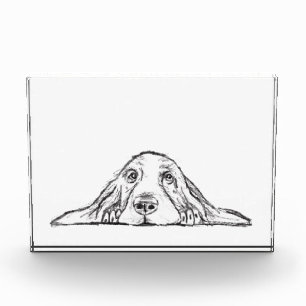 Basset Hound schwarz weiß einfaches Hundewelpen Au Fotoblock