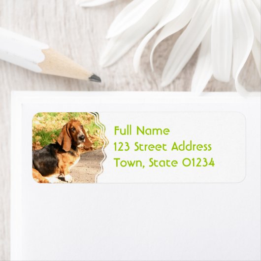 Basset Hound Sitting Mailing Labels (Insitu)