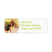 Basset Hound Sitting Mailing Labels (Vorne)