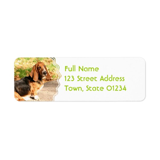 Basset Hound Sitting Mailing Labels (Vorne)