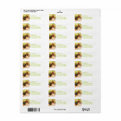 Basset Hound Sitting Mailing Labels (Vorne)
