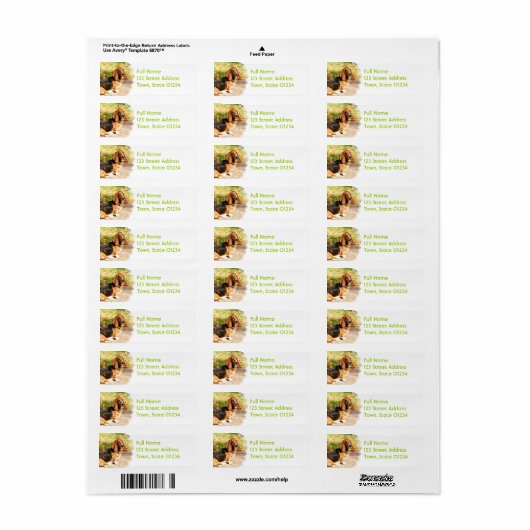 Basset Hound Sitting Mailing Labels (Vorne)
