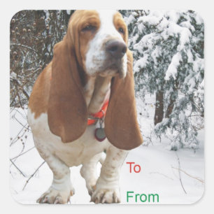 Basset Hound Snowy Weihnachtsgeschenk Aufkleber