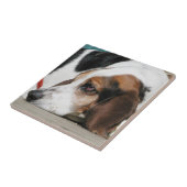 Basset Hound stellen Fliese gegenüber (Seite)