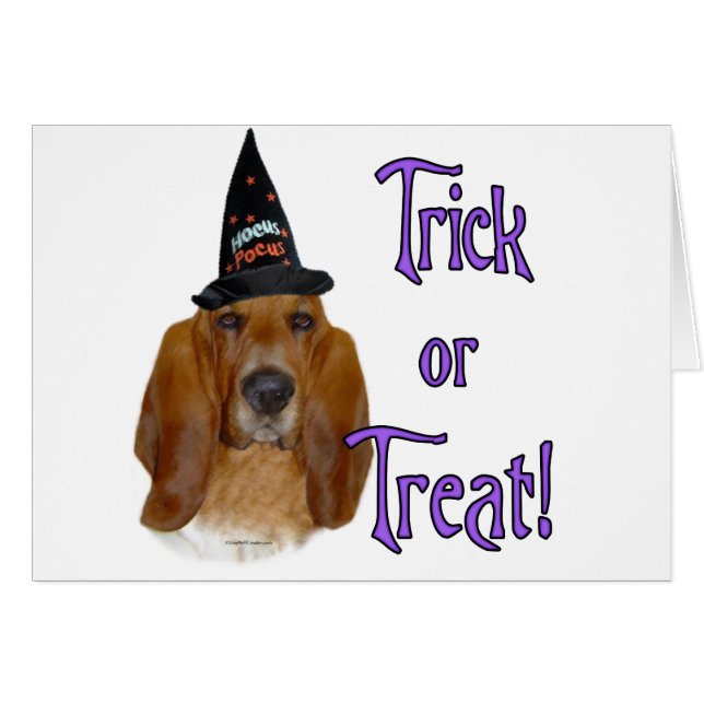 Basset Hound Trick (Vorderseite (Horizontal))