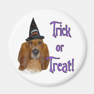 Basset Hound Trick Magnet