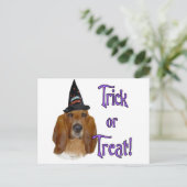 Basset Hound Trick Postkarte (Stehend Vorderseite)