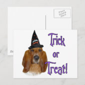 Basset Hound Trick Postkarte (Vorne/Hinten)