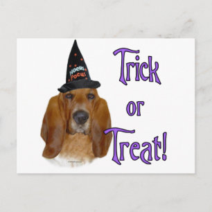 Basset Hound Trick Postkarte