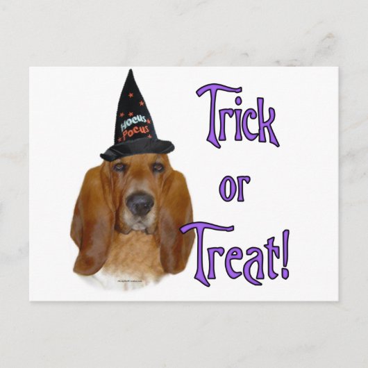 Basset Hound Trick Postkarte (Vorderseite)