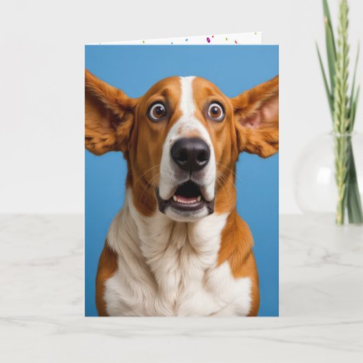 Basset Hound überrascht Geburtstag Karte (Vorderseite)