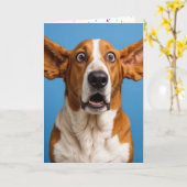 Basset Hound überrascht Geburtstag Karte (Gelbe Blume)