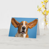 Basset Hound überrascht Geburtstag Karte (Gelbe Blume)