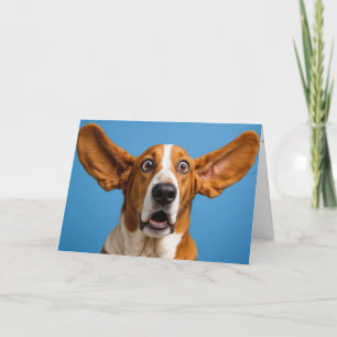 Basset Hound überrascht Geburtstag Karte